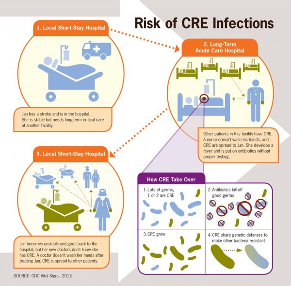 Infections spread explained