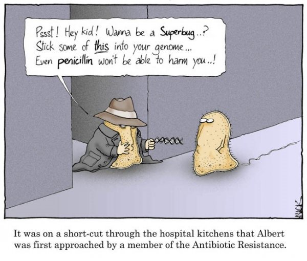 Superbug comics